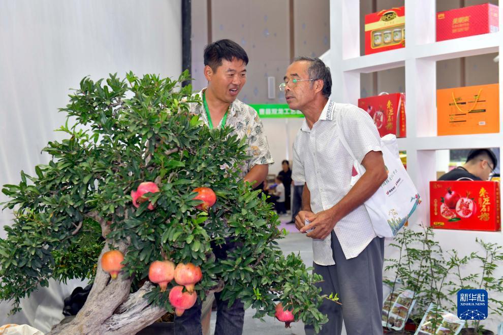 伟博游戏下载